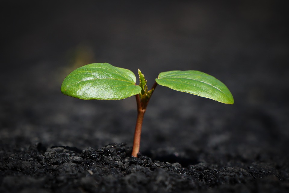 De Aarde trilt: Schokkende Aardbeving in Indonesië verbijstert Wereld 🌍