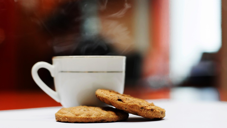 Biscuits en Aardbevingen: De Verrassende Mix van 2009! 🌍